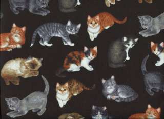 REALISTIC CATS KITTENS ON BLACK~ Cotton Quilt Fabric  