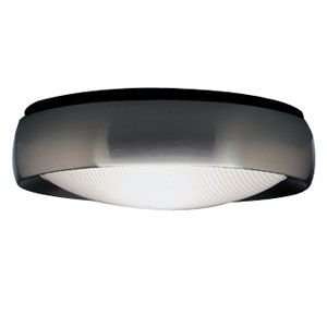 Niki Outdoor Wall/Ceiling Light  R086522 Body Satined Stainless Steel