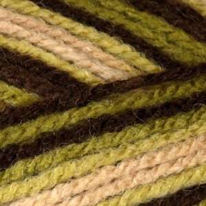  Patons Decor Yarn (87013) Green Earth Variegated By The 