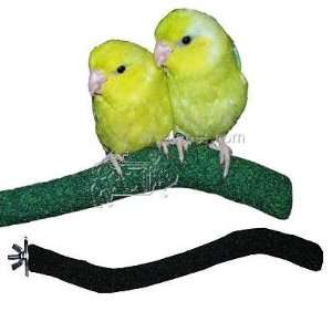  Sandy Manzanita Bird Perch Mini