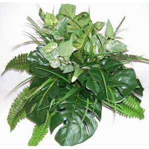   15 Mixed Greenery with Fern & Split Leaf Philodendron