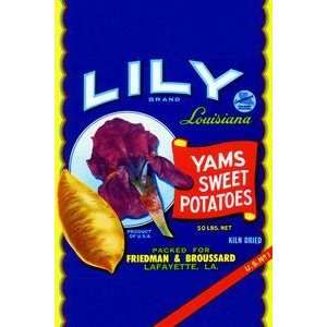  Lily Brand Yams Sweet Potatoes   Paper Poster (18.75 x 28 