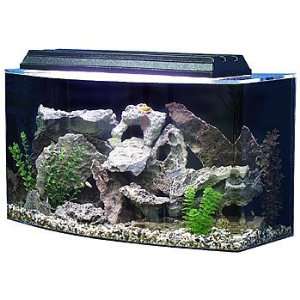  SeaClear Bowfront Aquarium Combo in Clear