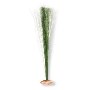  Vibran Sea Hairgrass Silk Style Plant (Quantity of 3 