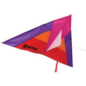    BrainStorm 75 WindSpirit Nylon Delta Wing Kite Toys & Games
