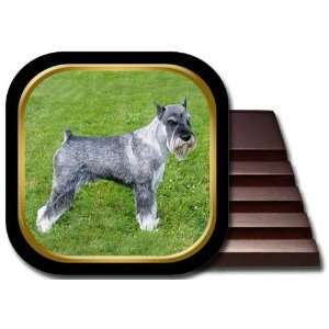  Standard Schnauzer Coaster Set