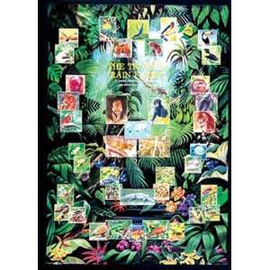 Tropical Rain Forest, Environment Wall Poster Print, 15 