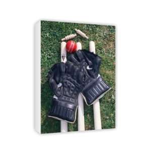  The Wicket Keepers Kit    Canvas   Medium   30x45cm 